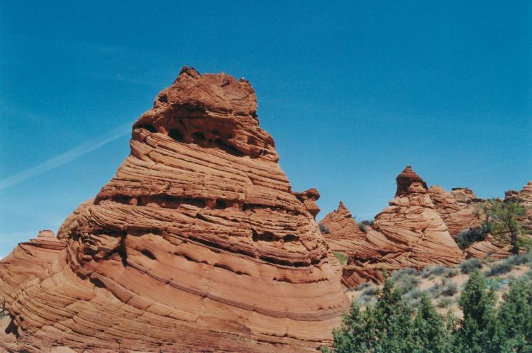 Paw Hole Teepees